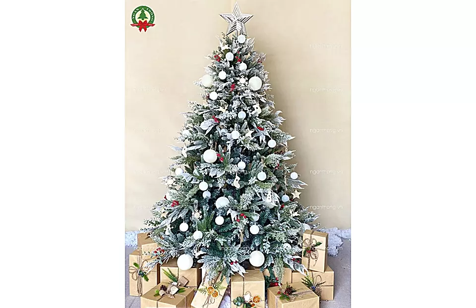 Ở đâu bán cây thông Noel uy tín?