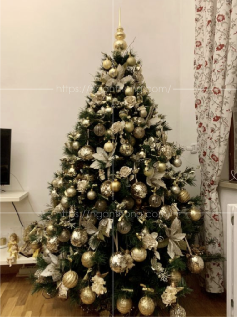 bán cây thông noel giá rẻ