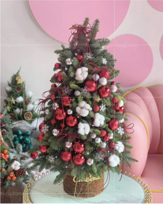 bán cây thông noel giá rẻ