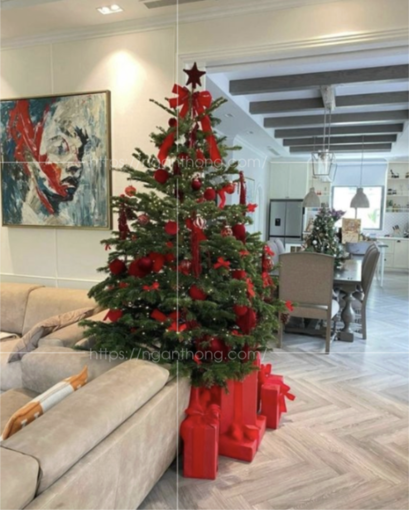 bán cây thông noel giá rẻ