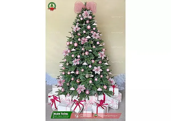 Cây thông noel quán cafe