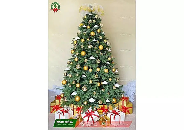 Cây thông noel giá bao nhiêu