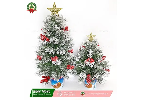 Cây thông noel giá bao nhiêu