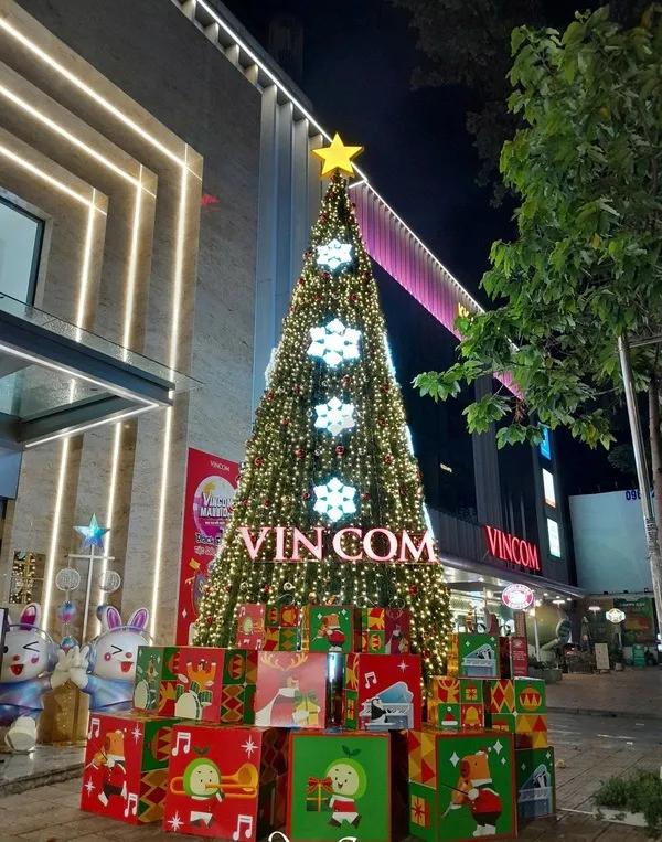 Cây thông noel quận 1