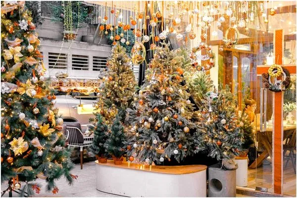 Cây thông noel quán cafe