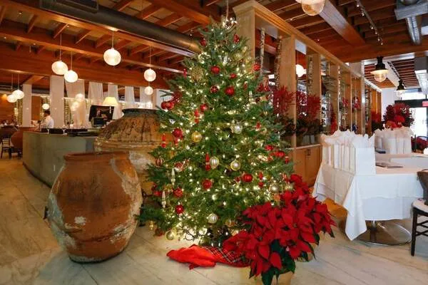 Cây thông noel quán cafe