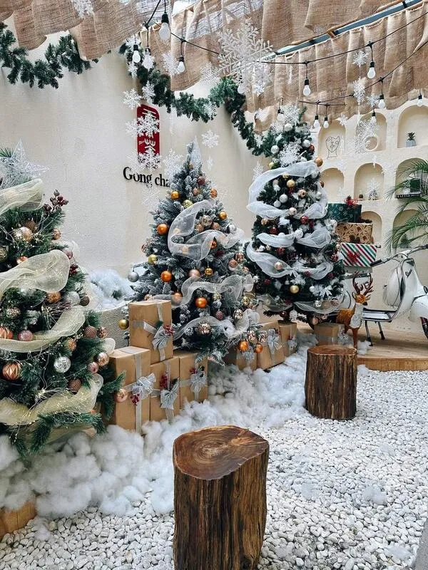 Cây thông noel quán cafe