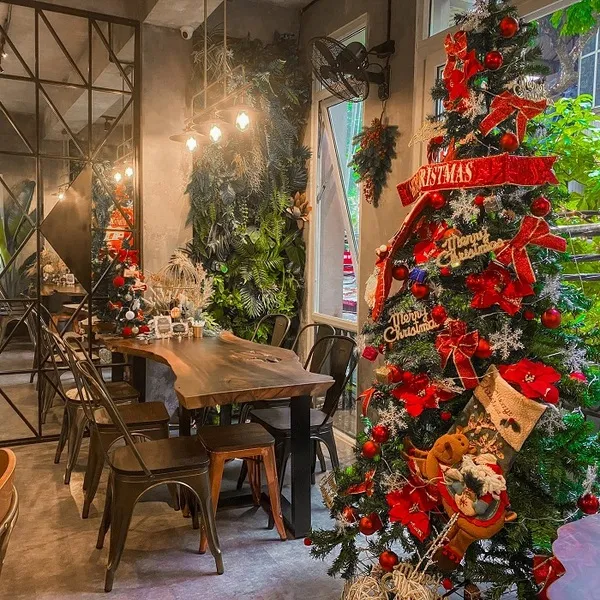 Cây thông noel quán cafe