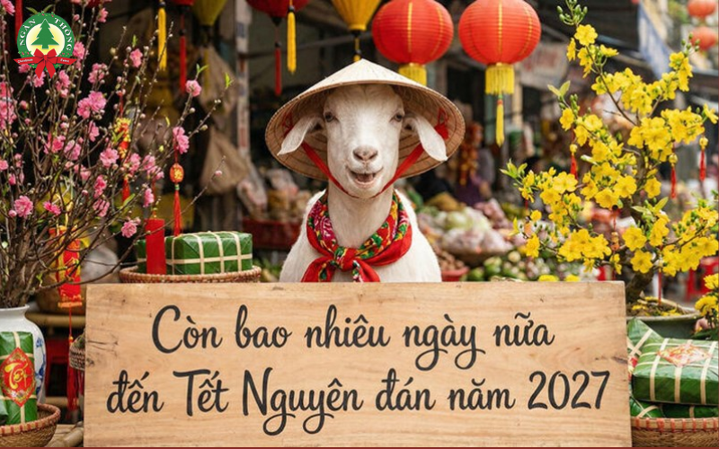 Còn Bao Nhiêu Ngày Nữa Là Tết Âm Lịch 2027?