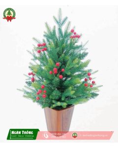 Cây thông Noel mini M8 mã LP-M8, cao 60cm