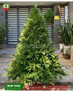 Cây thông Noel PE 3 loại lá mã LP-OT, cao 1m5 đến 3m